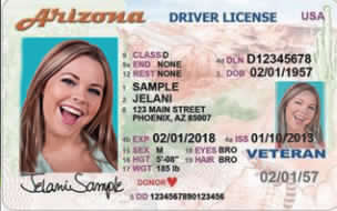 3rd Party Driver License Service